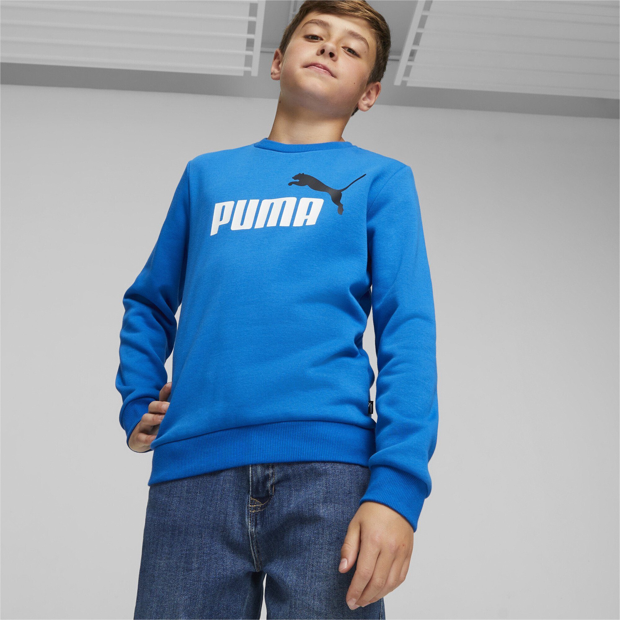 Logo Essentials+ Big Blue Racing Sweatshirt Two-Tone Jungen PUMA Sweatshirt