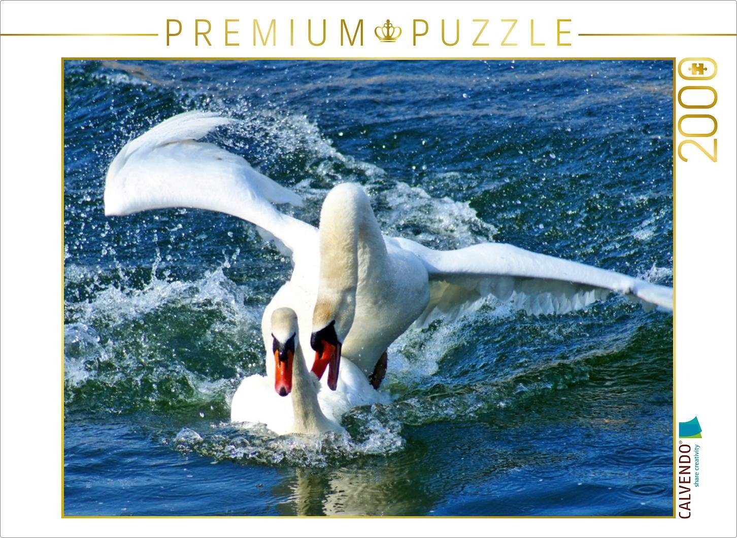 CALVENDO Puzzle CALVENDO Puzzle Schwanen Paarung 2000 Teile Lege-Größe 90 x 67 cm Foto-Puzzle Bild von Kattobello, 2000 Puzzleteile