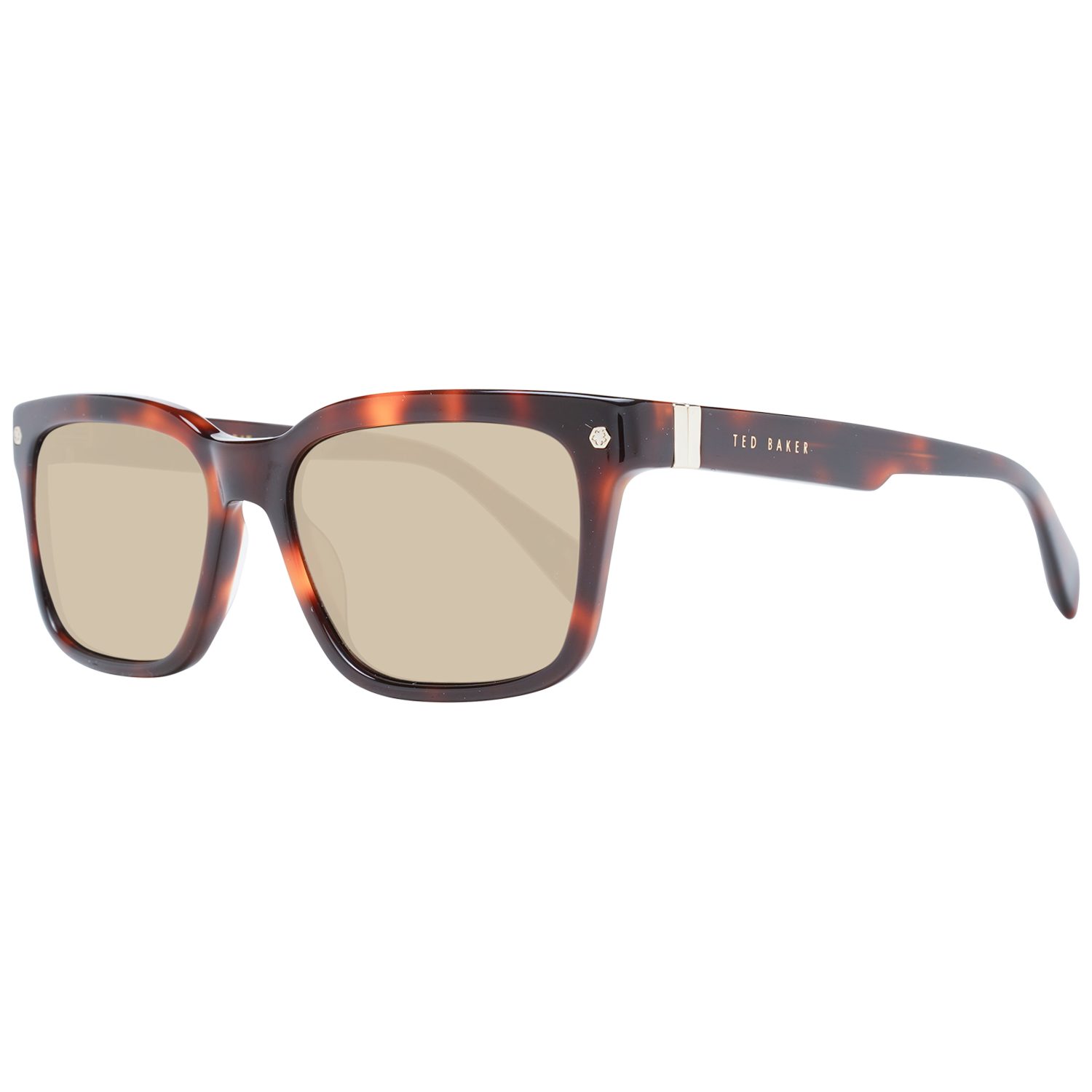 Ted Baker Wayfarer TB1696 54101