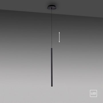 Paul Neuhaus Pendelleuchte FLUTE, LED fest integriert, Warmweiß