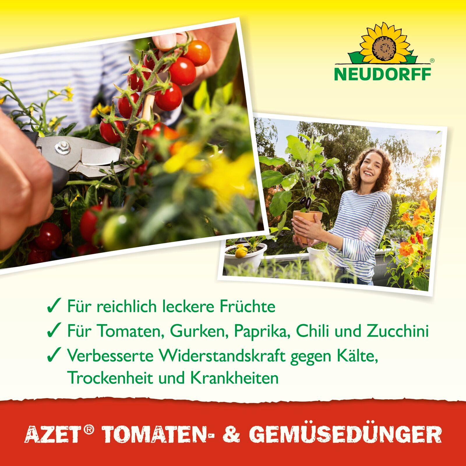 Neudorff Tomatendünger BioTrissol Tomaten- und GemüseDünger 1 Liter – Bild 4 von 5
