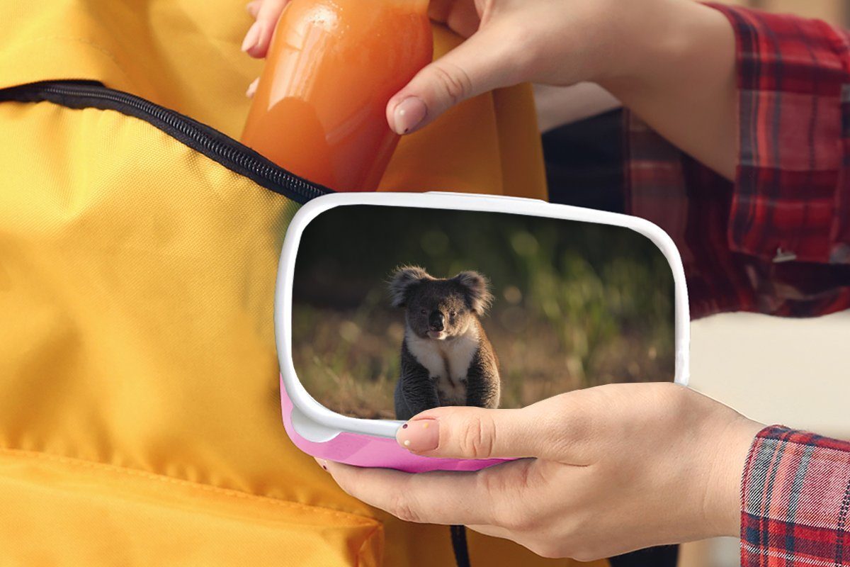 Tier Koala Kunststoff Brotbox MuchoWow Kinder für Snackbox, Kinder, Lunchbox rosa - - Jungen Brotdose - - - Kunststoff, Sonne Erwachsene, (2-tlg), Mädchen, Mädchen,