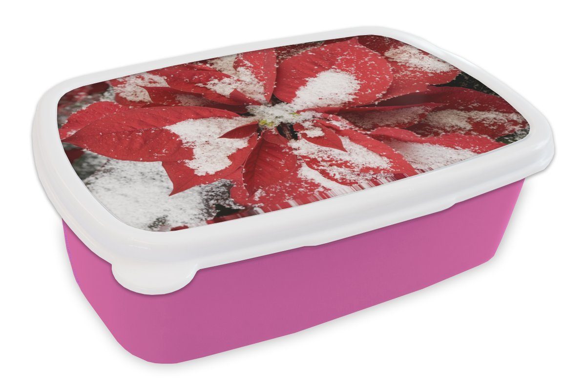 MuchoWow Lunchbox Christrose - Weihnachtsblume, rosa Brotdose für Kunststoff Kinder, Brotbox (2-tlg), Kunststoff, Erwachsene, Mädchen, Snackbox