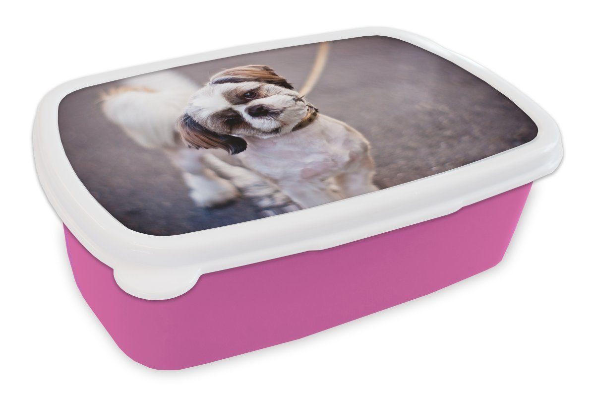 MuchoWow Lunchbox Ein süßer Shih Tzu Hund, Kunststoff, (2-tlg), Brotbox für Erwachsene, Brotdose Kinder, Snackbox, Mädchen, Kunststoff rosa