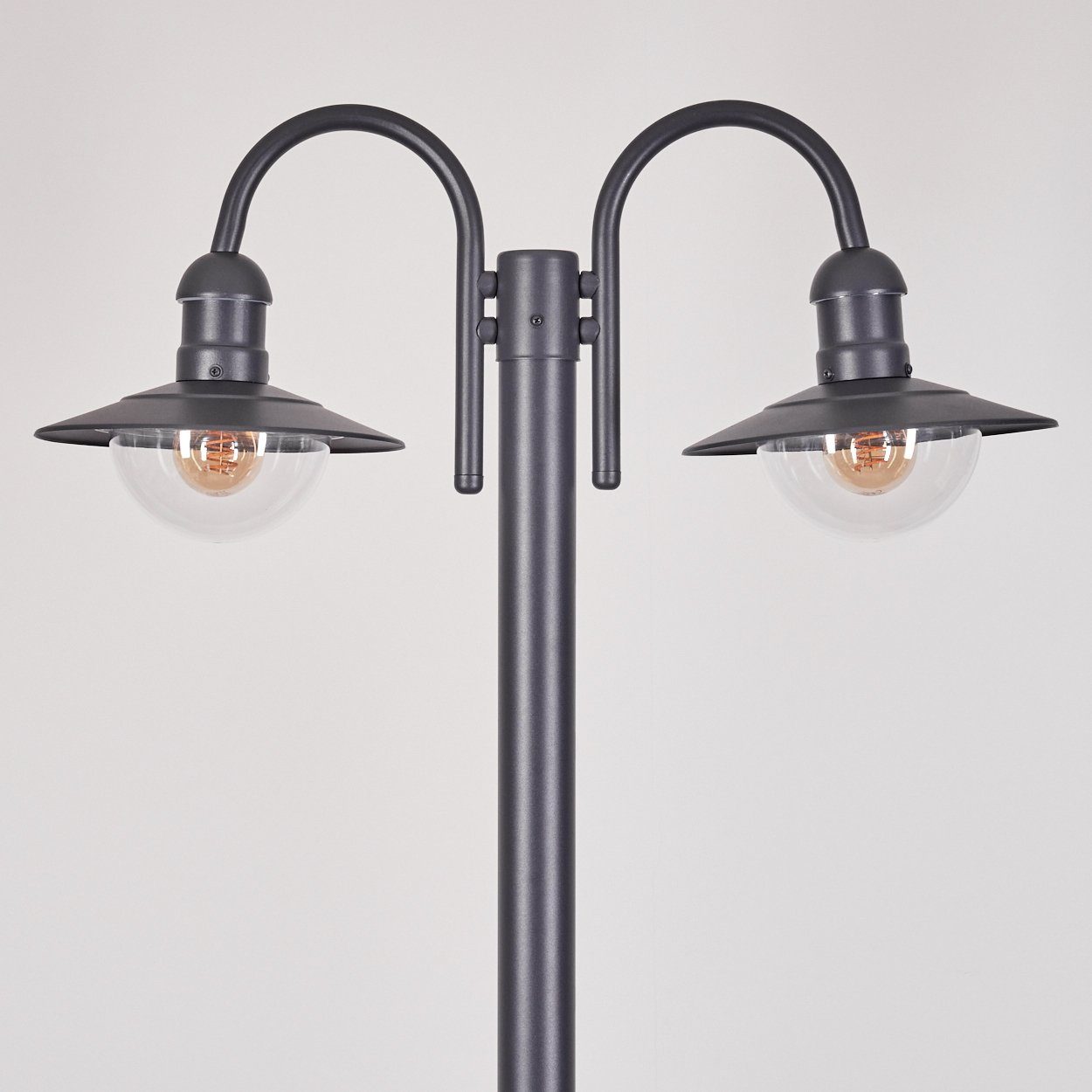 E27, Kandelaber, moderne Außen-Stehlampe Anthrazit/Klar, Leuchtmittel aus Gartenbeleuchtung Metall/Kunststoff ohne ohne Leuchtmittel, hofstein in Wegeleuchte IP44, 2x