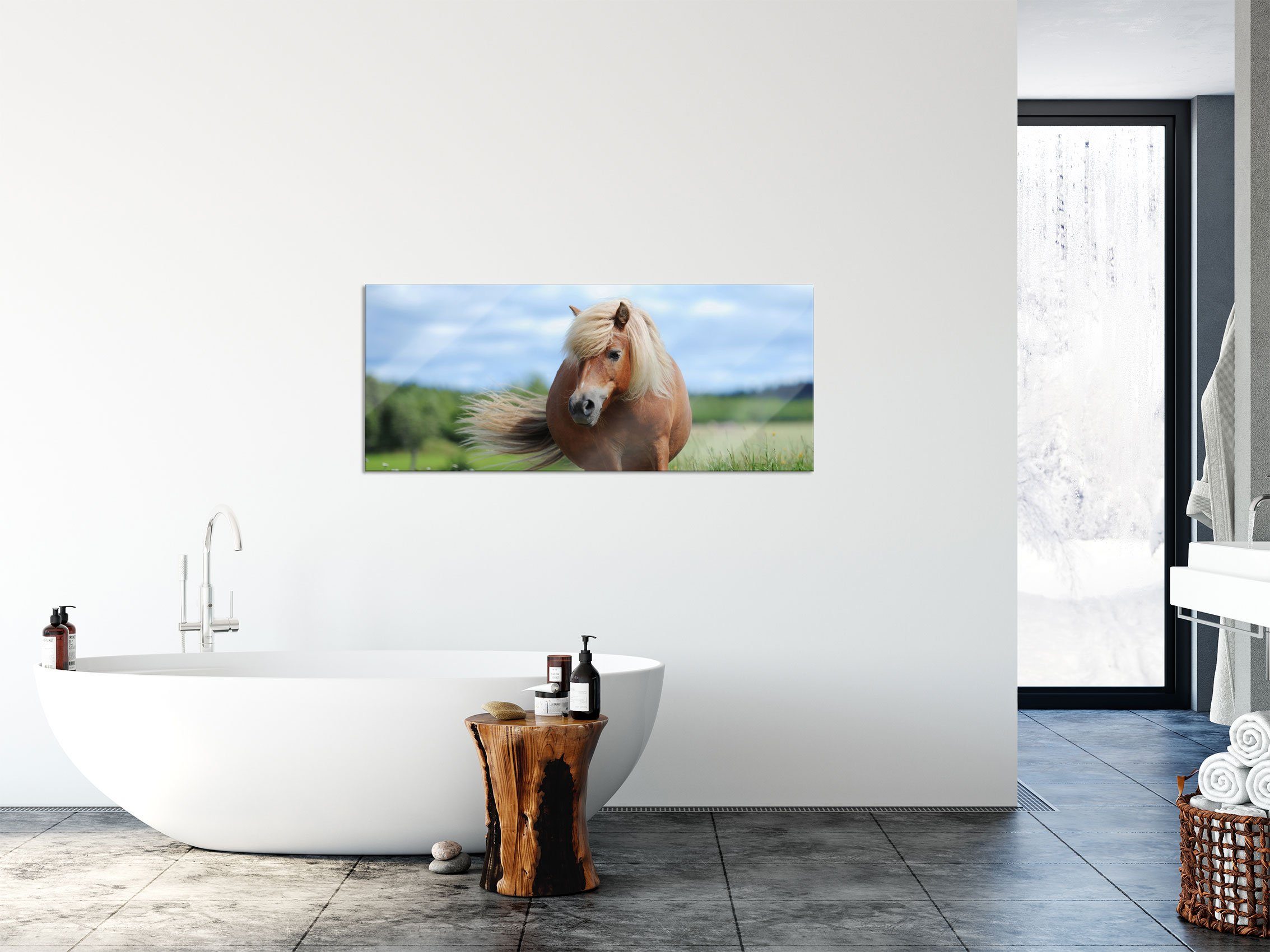 Pixxprint Glasbild Shetlandpony aus inkl. Wiese Shetlandpony auf und Wiese, auf der Echtglas, Glasbild Aufhängungen der (1 St), Abstandshalter