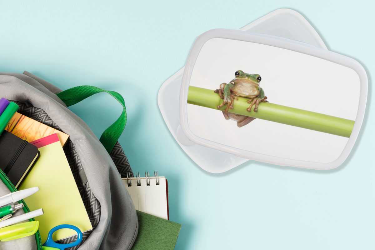 und Weiß, Bambus Kunststoff, Brotdose, - und MuchoWow Lunchbox für Erwachsene, Brotbox (2-tlg), Frosch für - Jungs Mädchen Kinder