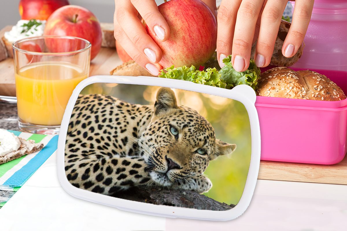 Kunststoff, Brotbox Brotdose (2-tlg), Erwachsene, Mädchen, rosa Sonnenuntergang, Lunchbox Leopard Kunststoff MuchoWow für Kinder, - - Snackbox, Natur