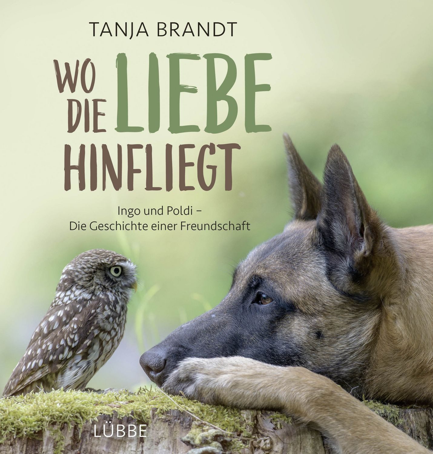 Wo die Liebe hinfliegt / Tanja Brandt