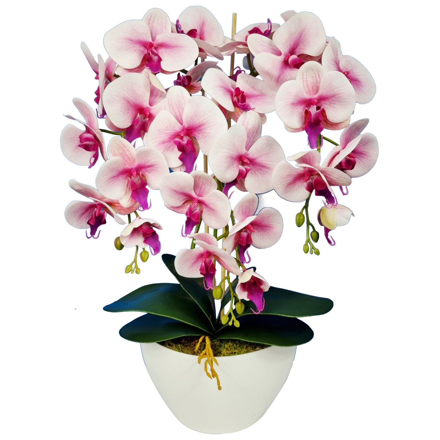 Kunstblume Orchidee, damich, Höhe 60 cm, Künstliche Orchidee im Blumentopf