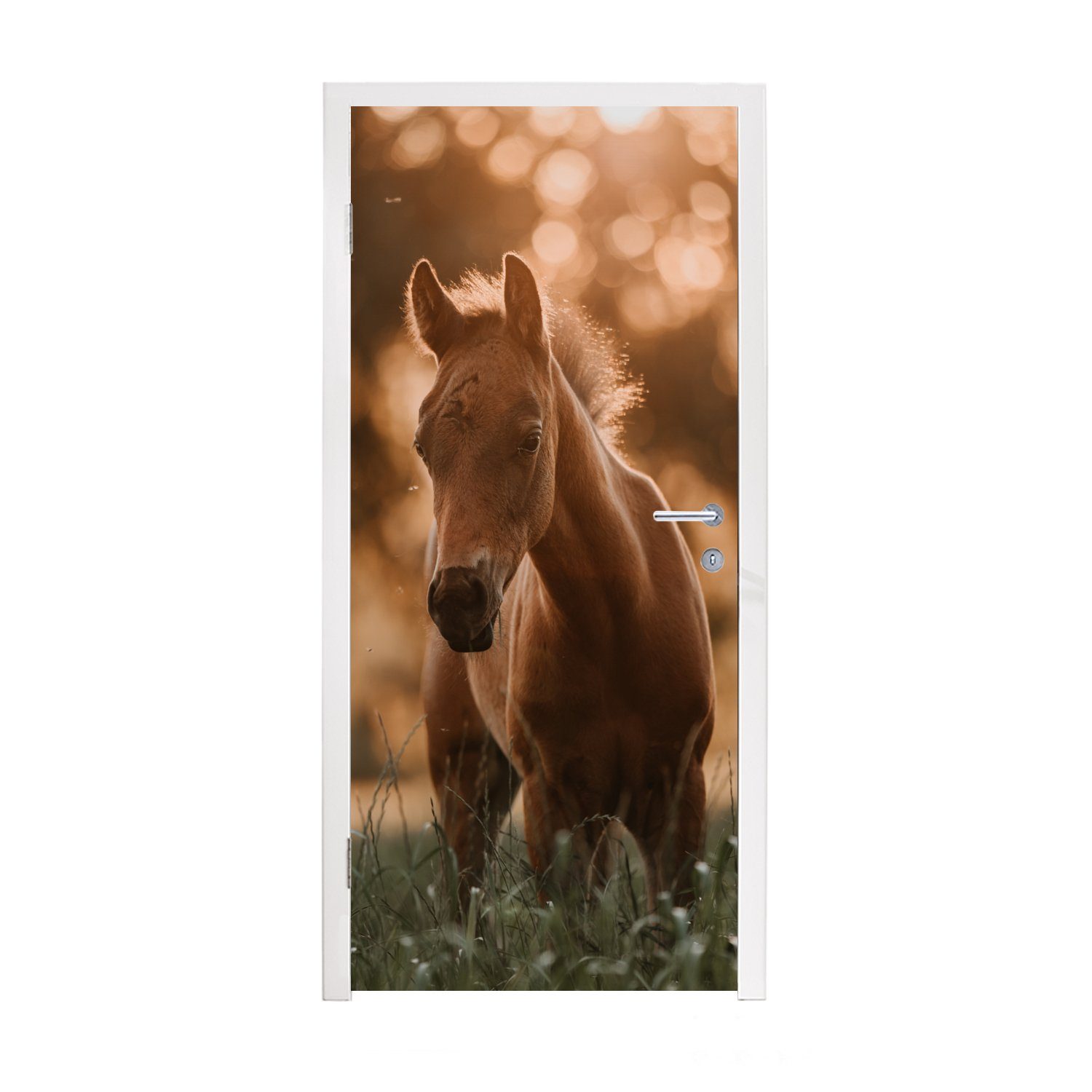 MuchoWow Türtapete Pferd - Licht - Landschaft, Matt, bedruckt, (1 St), Fototapete für Tür, Türaufkleber, 75x205 cm