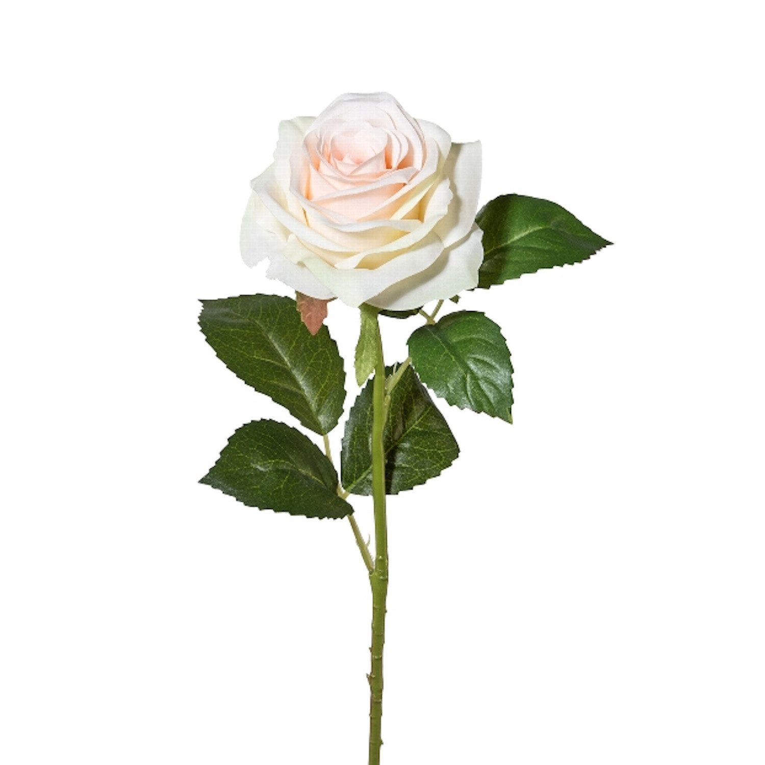 Kunstblume, Gasper, Höhe 53 cm, Farbe: Rosa, Motiv: Rose günstig online kaufen