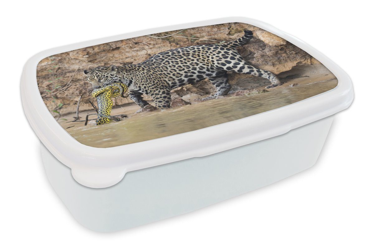 MuchoWow Lunchbox Jaguar - Schlange - Wasser, Kunststoff, (2-tlg), Brotbox für Kinder und Erwachsene, Brotdose, für Jungs und Mädchen weiß