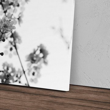 Sinus Art Leinwandbild 120x80cm Wandbild auf Leinwand Schwarz Weiß Fotografie Baumblüten Früh, (1 St)