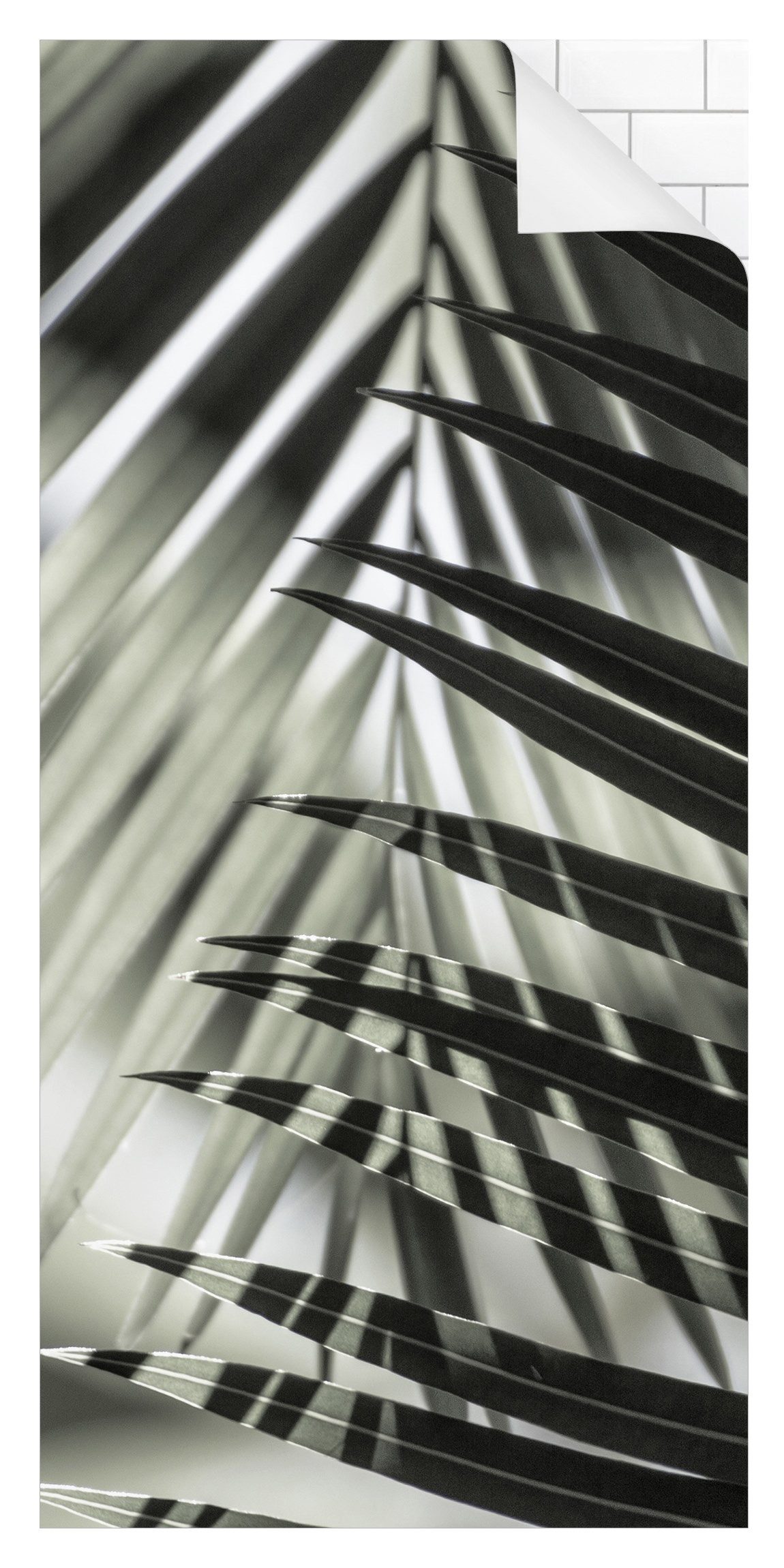 Bilderdepot24 Duschrückwand Fliesen Palme grün Duschrückwand günstig online kaufen