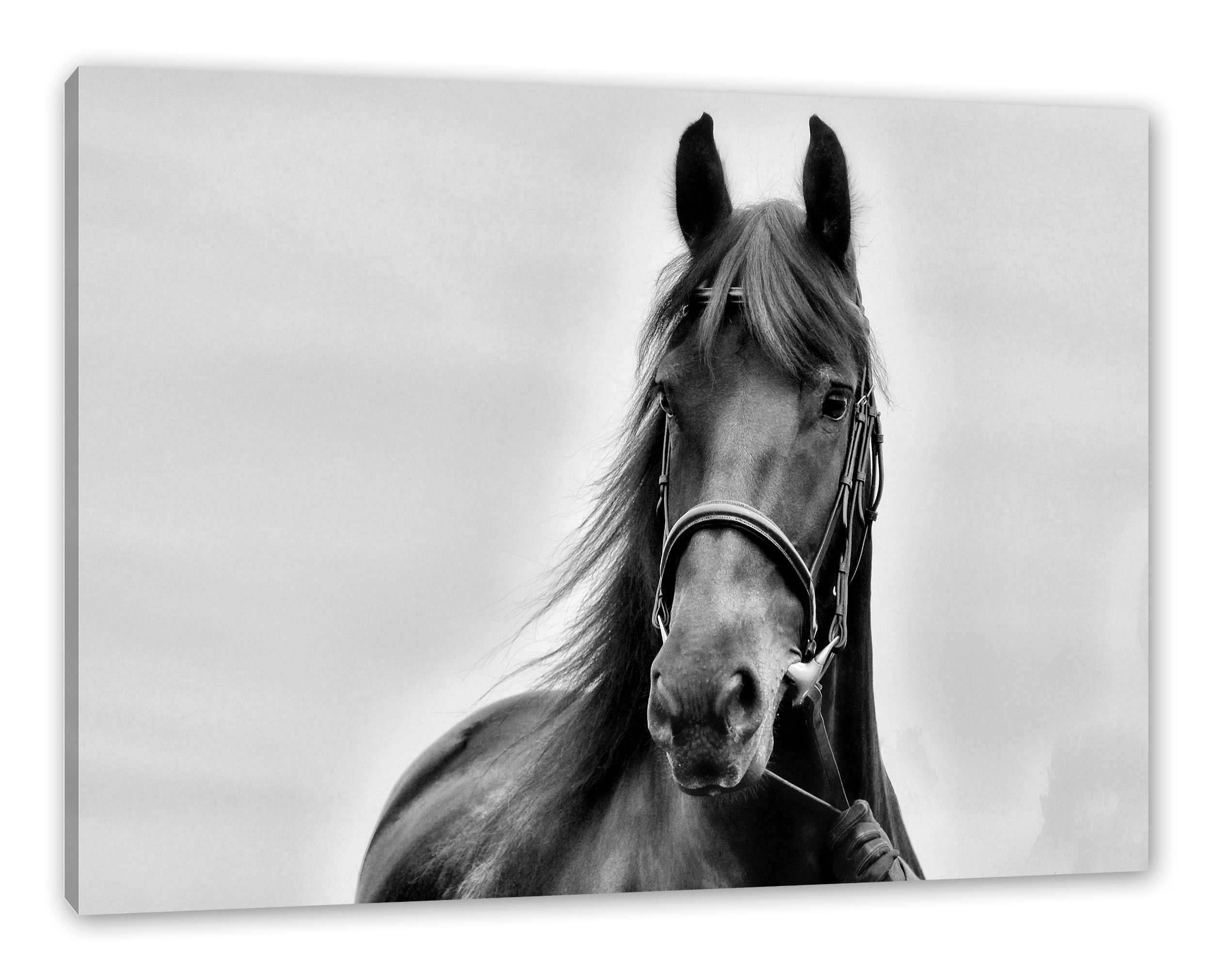 Pixxprint Leinwandbild Schönes Pferd, Schönes Pferd (1 St), Leinwandbild fertig bespannt, inkl. Zackenaufhänger