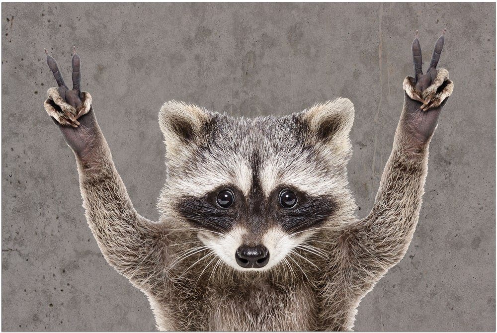 matches21 HOME & HOBBY Fußmatte Türmatte Waschbär lustig in 40x60 cm als Fu günstig online kaufen