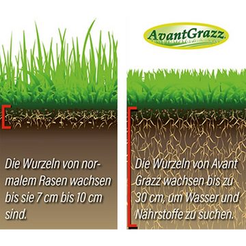 Best Direct® Blumenerde Avant Grazz® - Rasensamen Saat, (Spar Set, 1-St., 1er, 2er oder 4er Pack), für besonders strapazierfähigen Rasen, für 40 m² Fläche, 1kg