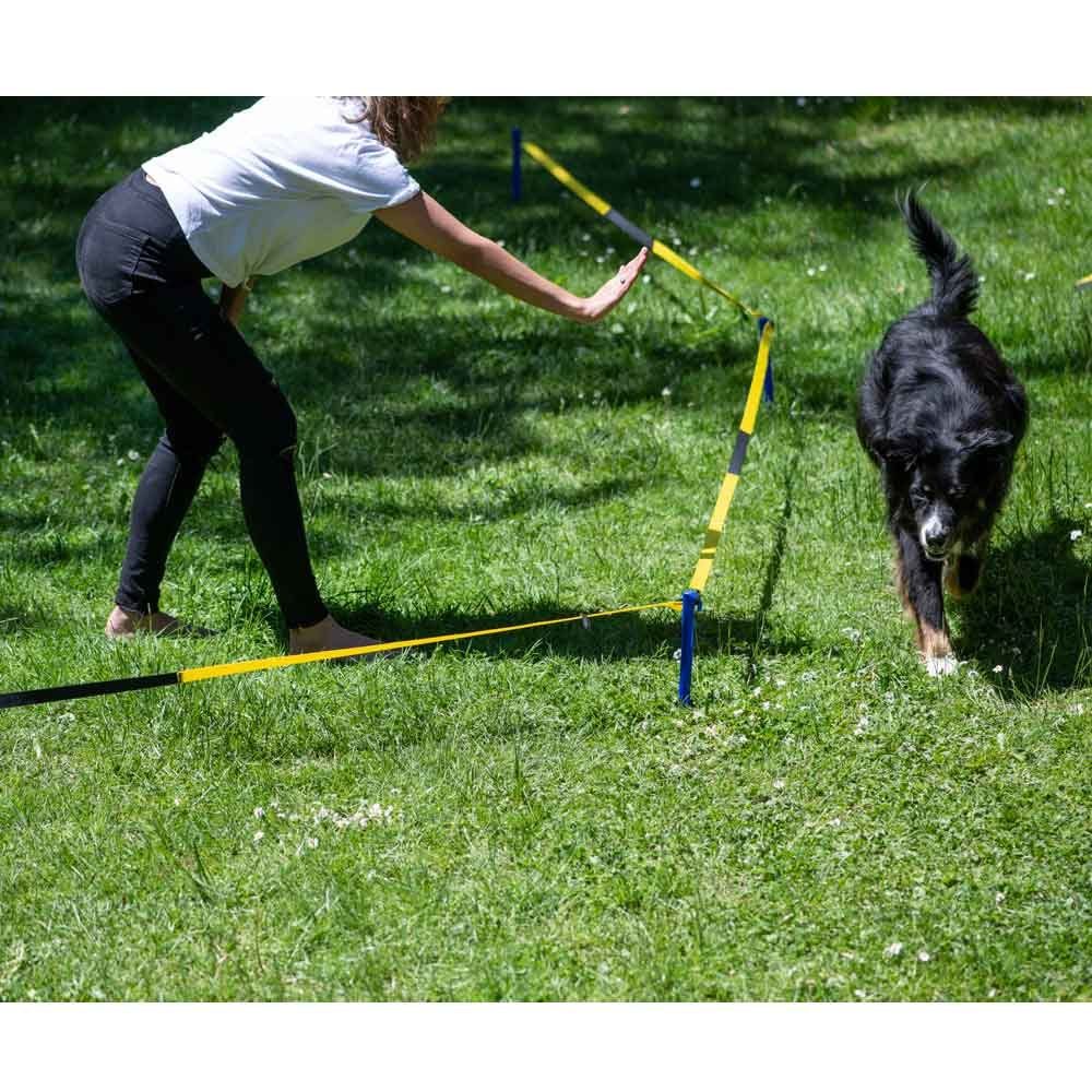 Procyon Agility-Hürde PROCYON Longier-Set für Hunde