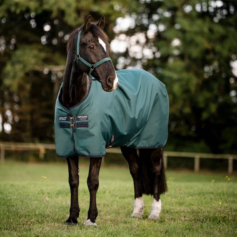 Horseware Pferde-Übergangsdecke Horseware Amigo Ripstop 900D Pony Turnout 100g