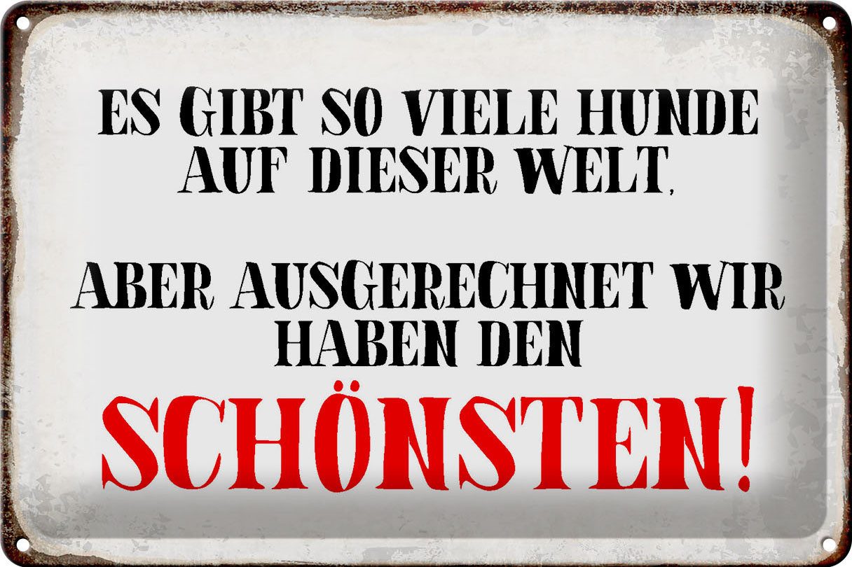 Metallschild Schild Blech 30x20cm - Made in Germany - Spruch wir haben den schönste