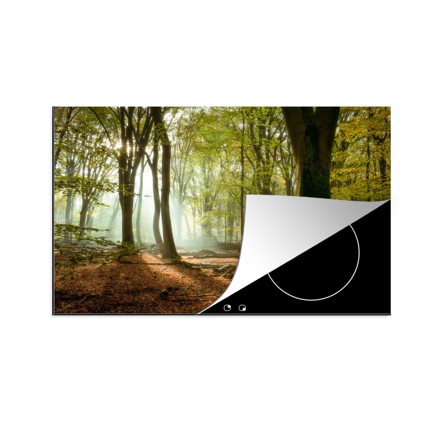 MuchoWow Herdblende-/Abdeckplatte Wald - Sonne - Jahreszeiten - Landschaft, Vinyl, (1 tlg), 81x52 cm, Ceranfeldabdeckung, Arbeitsplatte für küche
