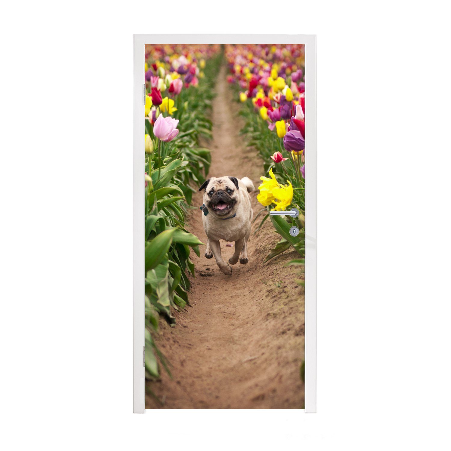 MuchoWow Türtapete Mops - Tulpen - Blumen, Matt, bedruckt, (1 St), Fototapete für Tür, Türaufkleber, 75x205 cm