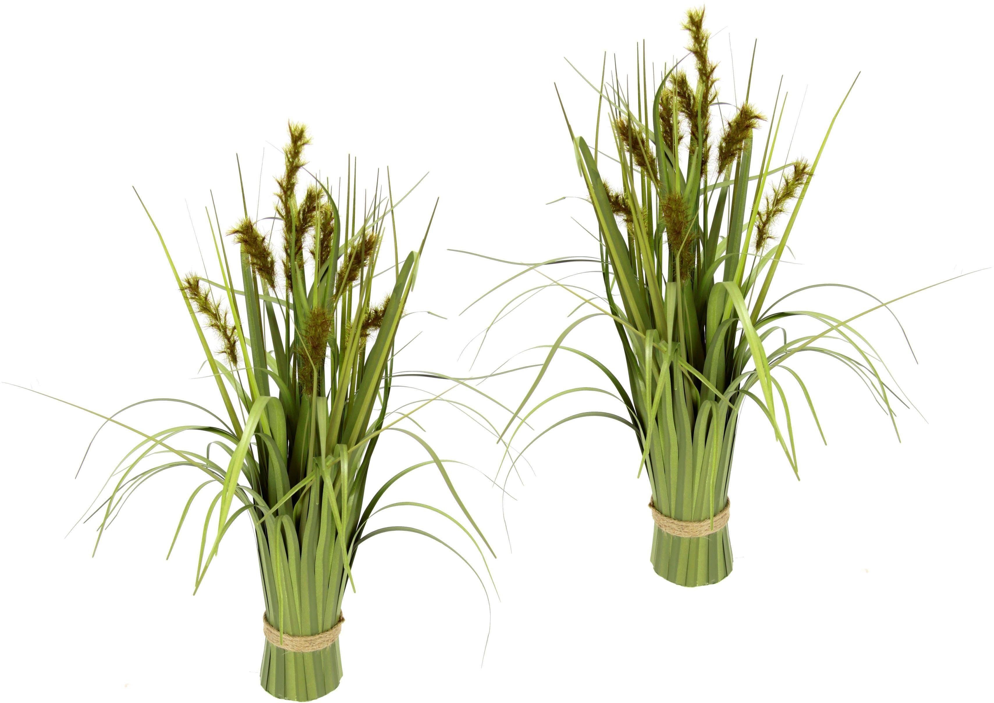 Kunstgras Grasbund Gras/Fuchsschwanzgras, I.GE.A., Höhe 43 günstig online kaufen