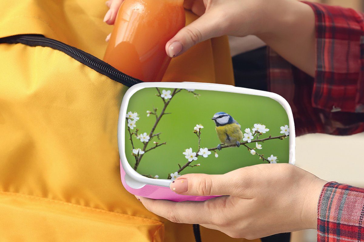 Lunchbox Kunststoff, Zweig - Blühende - Blumen Kinder, - Brotbox rosa für Brotdose MuchoWow (2-tlg), Kunststoff Snackbox, Erwachsene, Zweige - Vogel, Mädchen, Blaumeise