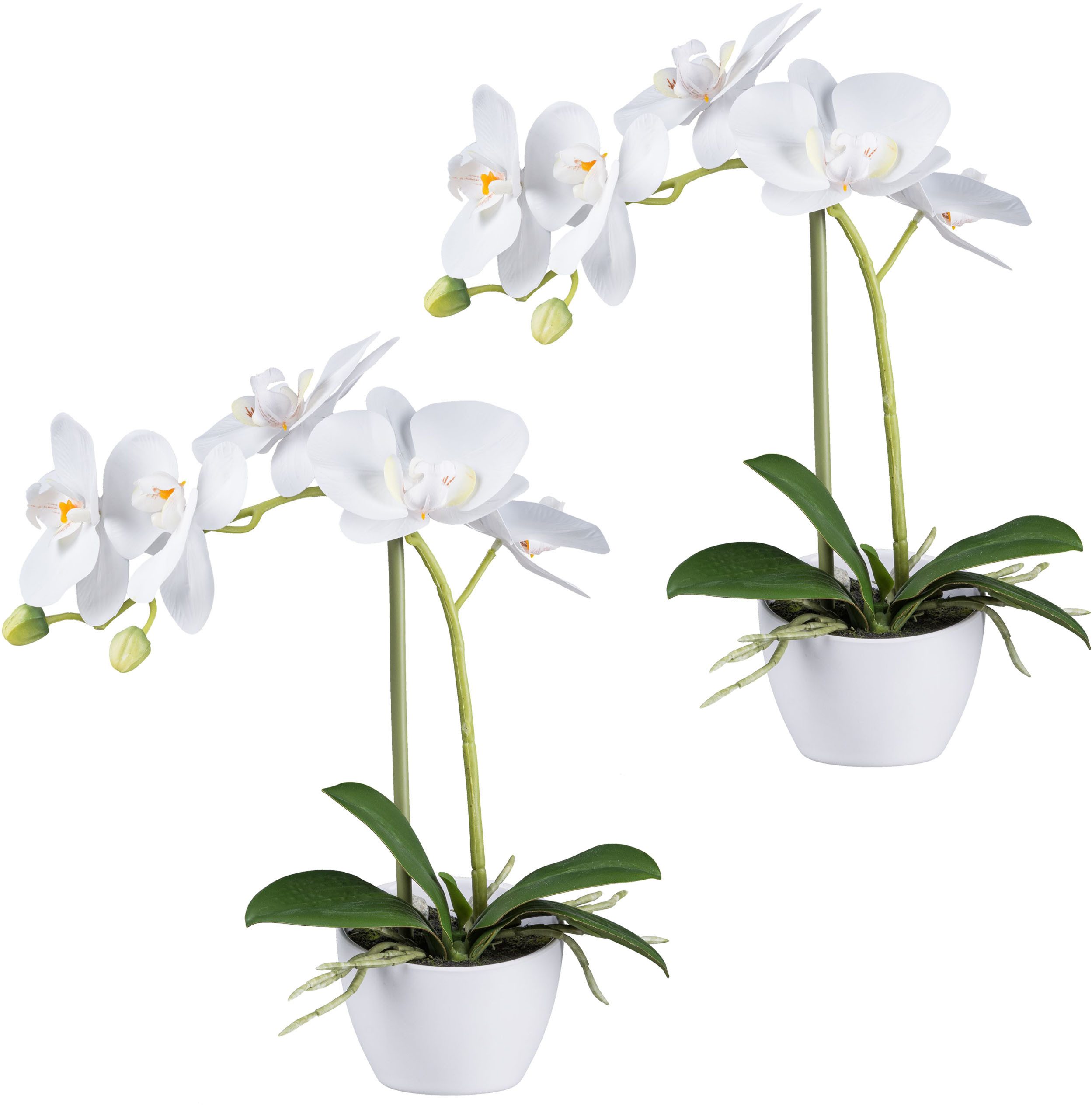 Kunstorchidee Orchidee Phalaenopsis, Creativ green, Höhe günstig online kaufen