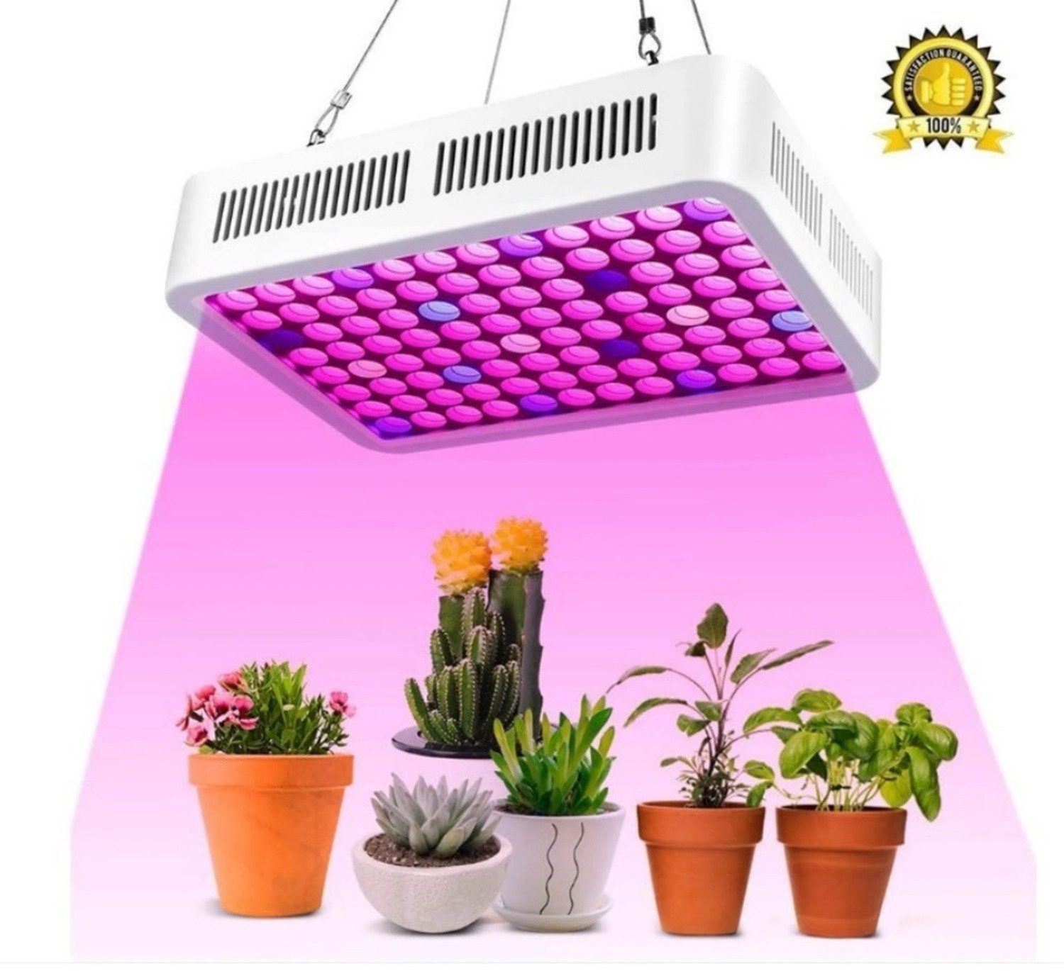 DOPWii Pflanzenlampe LED Pflanzenlicht, volles Spektrum günstig online kaufen