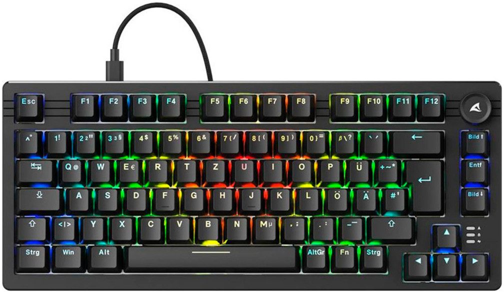 Sharkoon SKILLER SGK25 Gaming-Tastatur