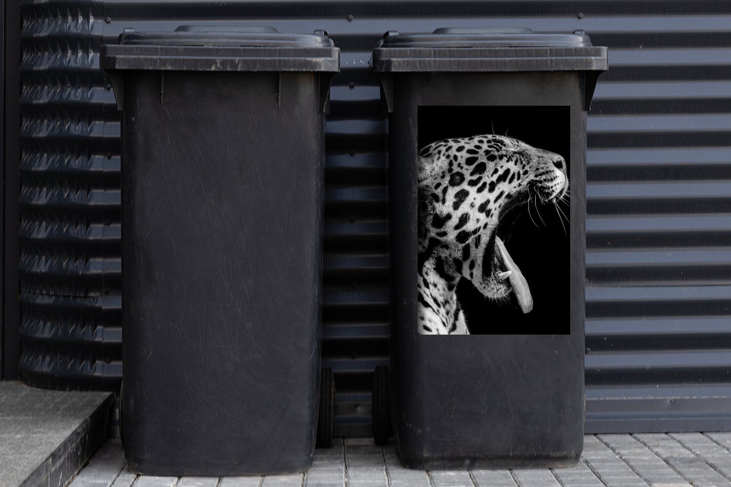 Container, - St), Sticker, Tier - (1 Jaguar - Abfalbehälter Mülltonne, MuchoWow Wandsticker Schwarz Weiß Mülleimer-aufkleber,