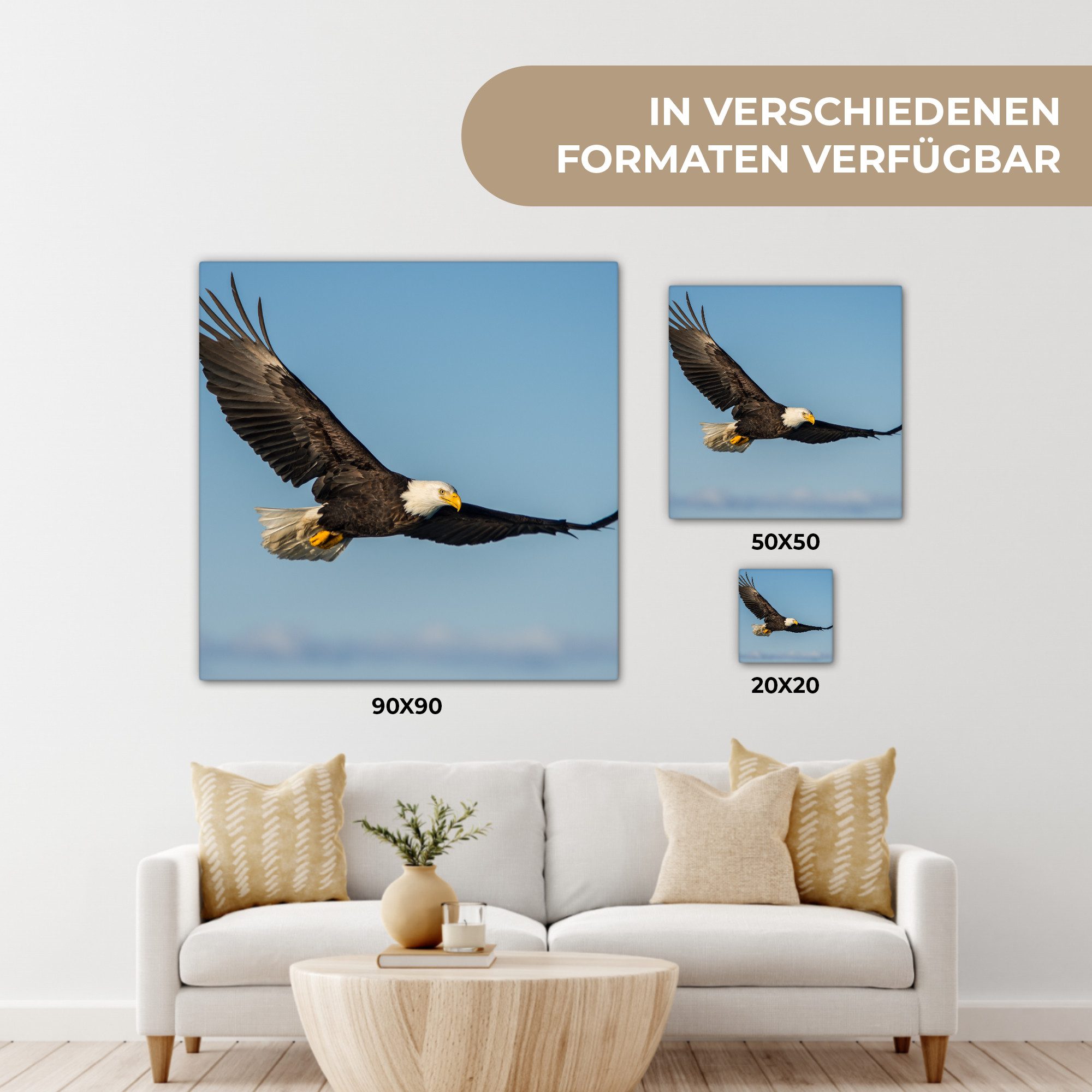 OneMillionCanvasses® Leinwandbild Vogel - Adler - Raubvögel, Fotodruck (1 St), Leinwand Bilder Klein, Wand Dekoration Aesthetic 30x20 cm – Bild 5 von 5