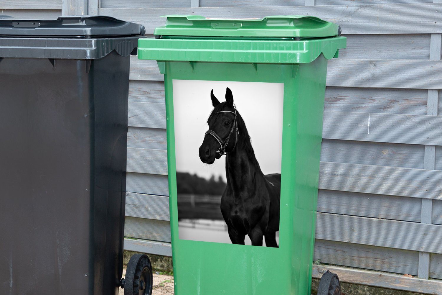 Porträt Mülleimer-aufkleber, Container, schwarz Pferdes Wandsticker eines St), weiß und - Abfalbehälter Mülltonne, MuchoWow (1 Sticker,
