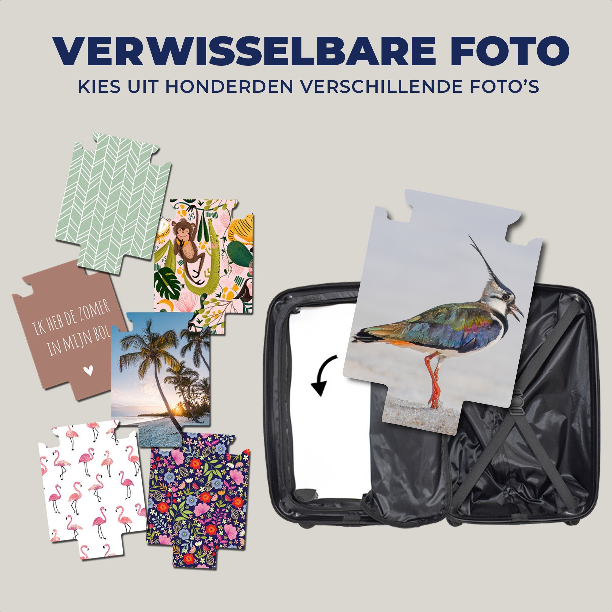 MuchoWow Handgepäckkoffer Vogel mit Reisetasche - 4 Kiebitz, Reisekoffer Rollen, - rollen, Trolley, Tiere - für Sand Handgepäck Ferien