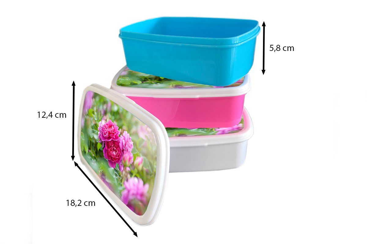 Kunststoff, Brotdose (2-tlg), MuchoWow dem auf Erwachsene, Lande, für wachsen Brotbox Mädchen, Lunchbox Rosen Kunststoff Rosa Snackbox, Kinder,