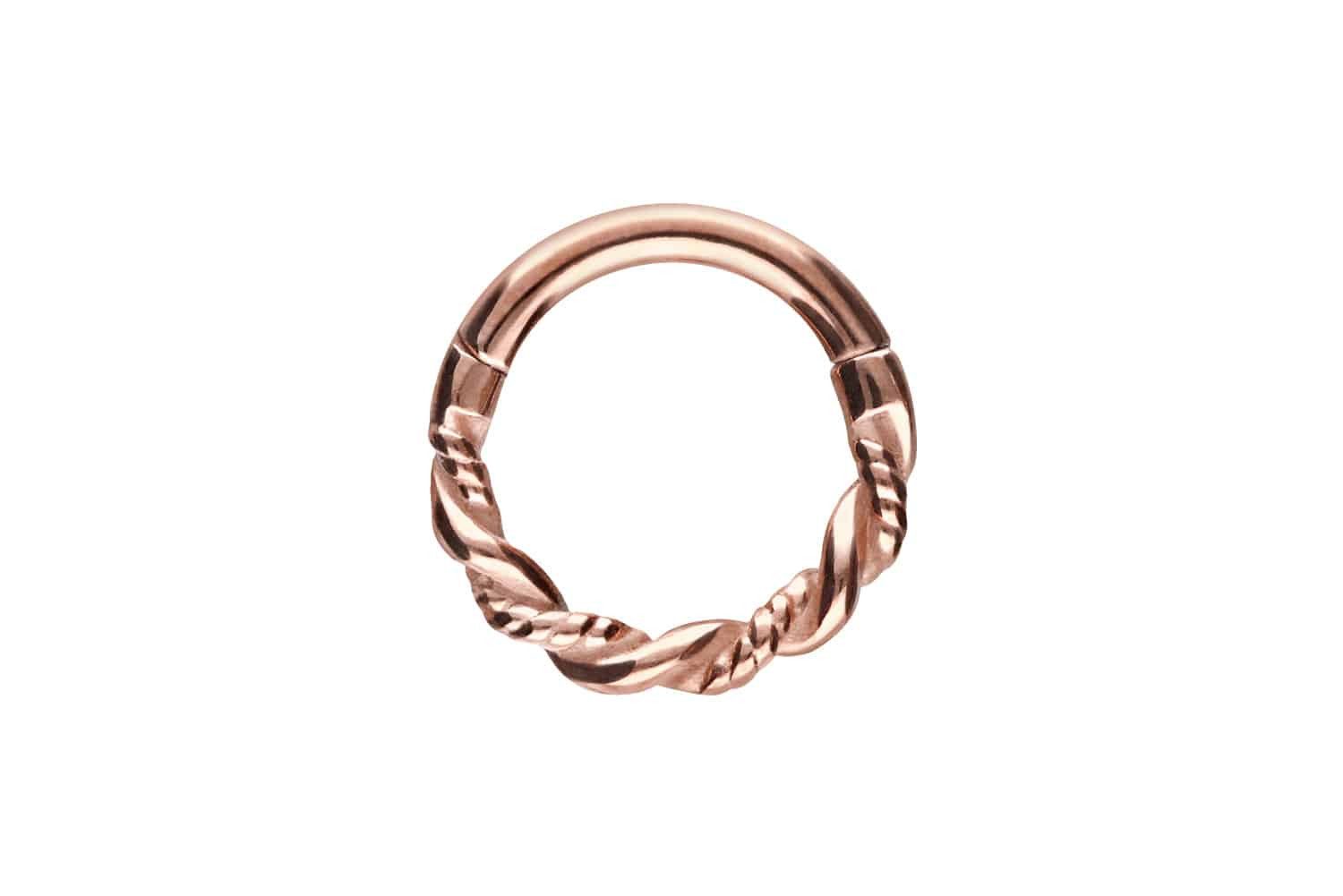 PIERCINGLINE Piercing-Set Chirurgenstahl Segmentring Clicker DOPPELT günstig online kaufen
