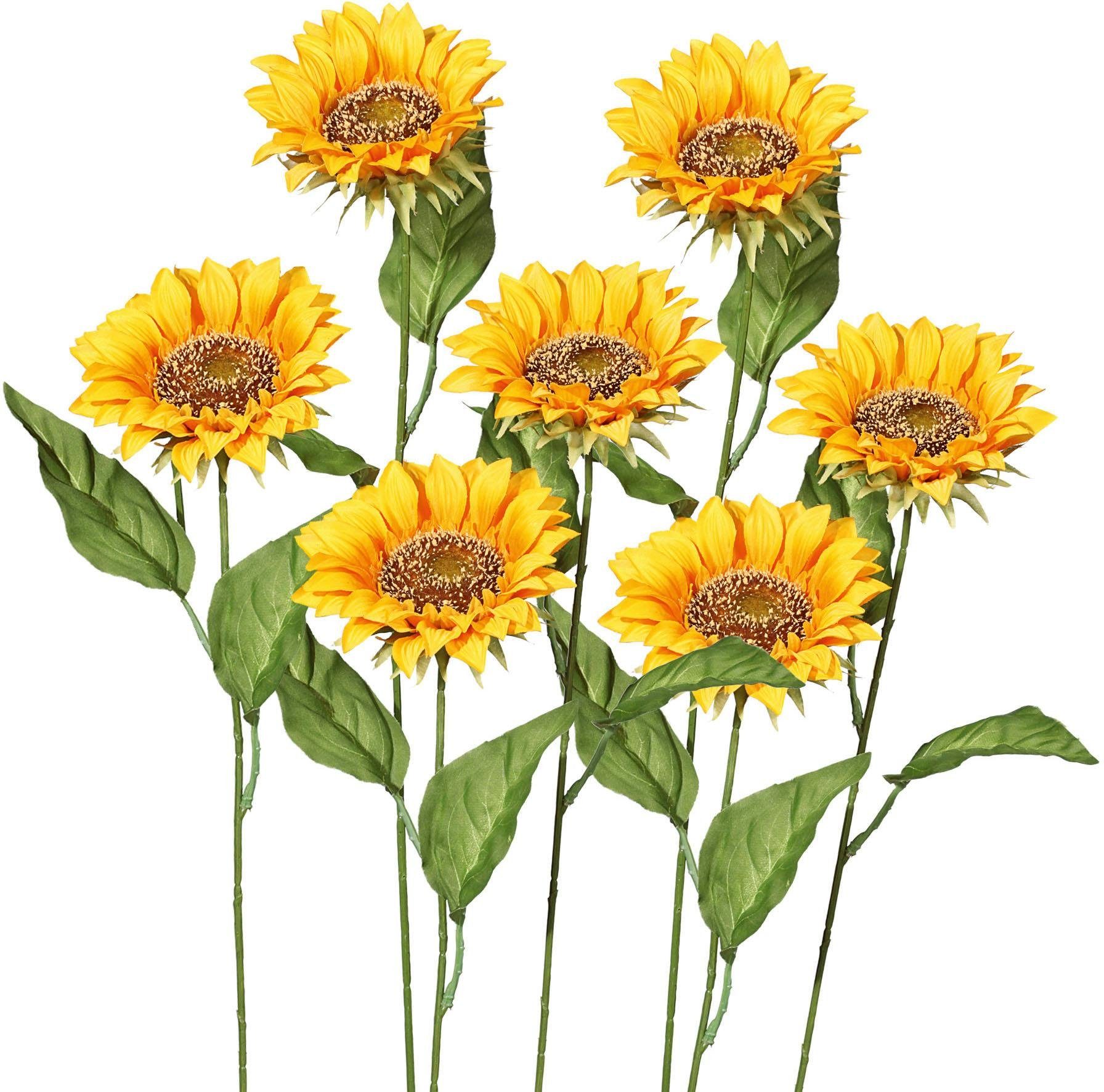 Kunstblume, Creativ green, Höhe 66 cm, 7er Set