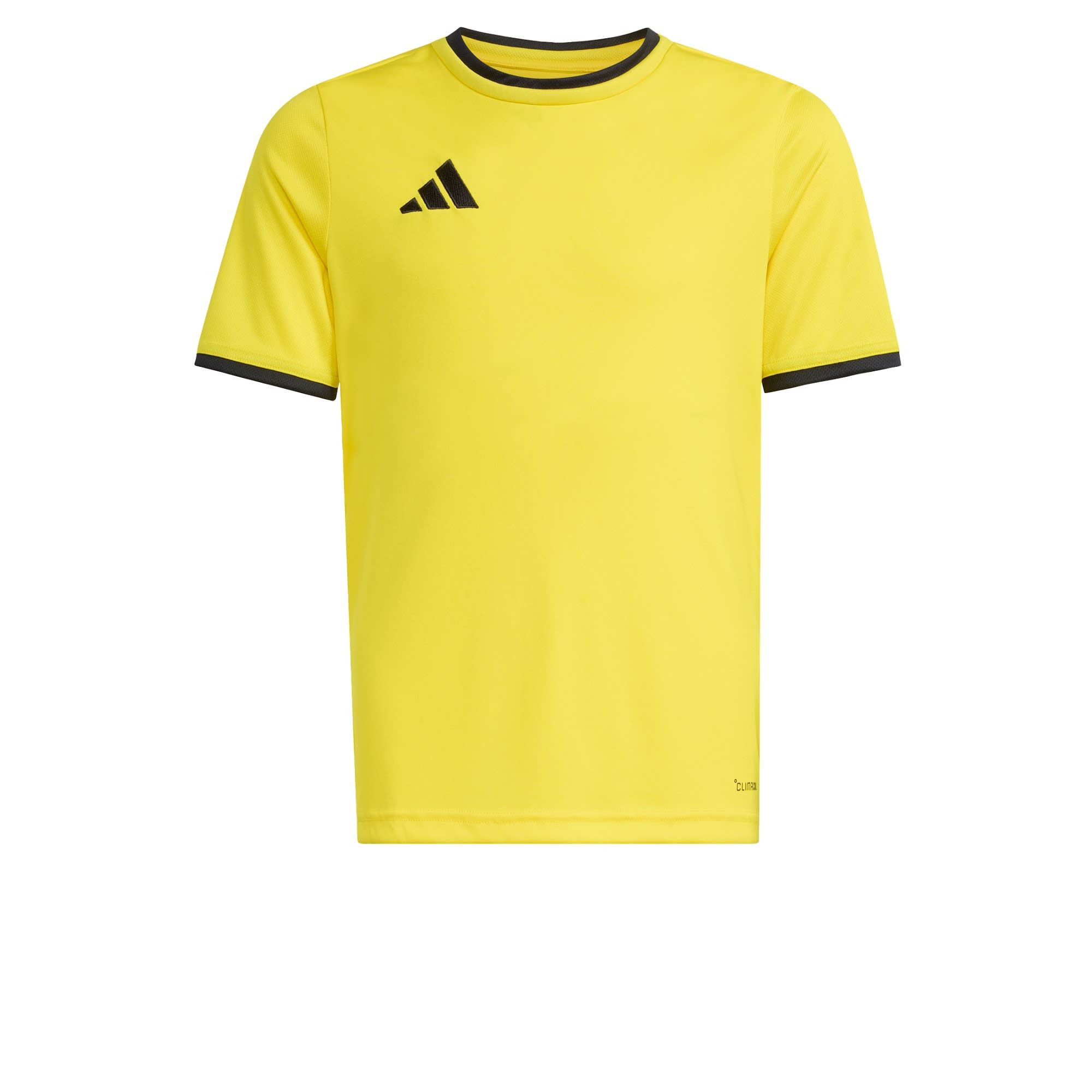 Team Yellow / Black