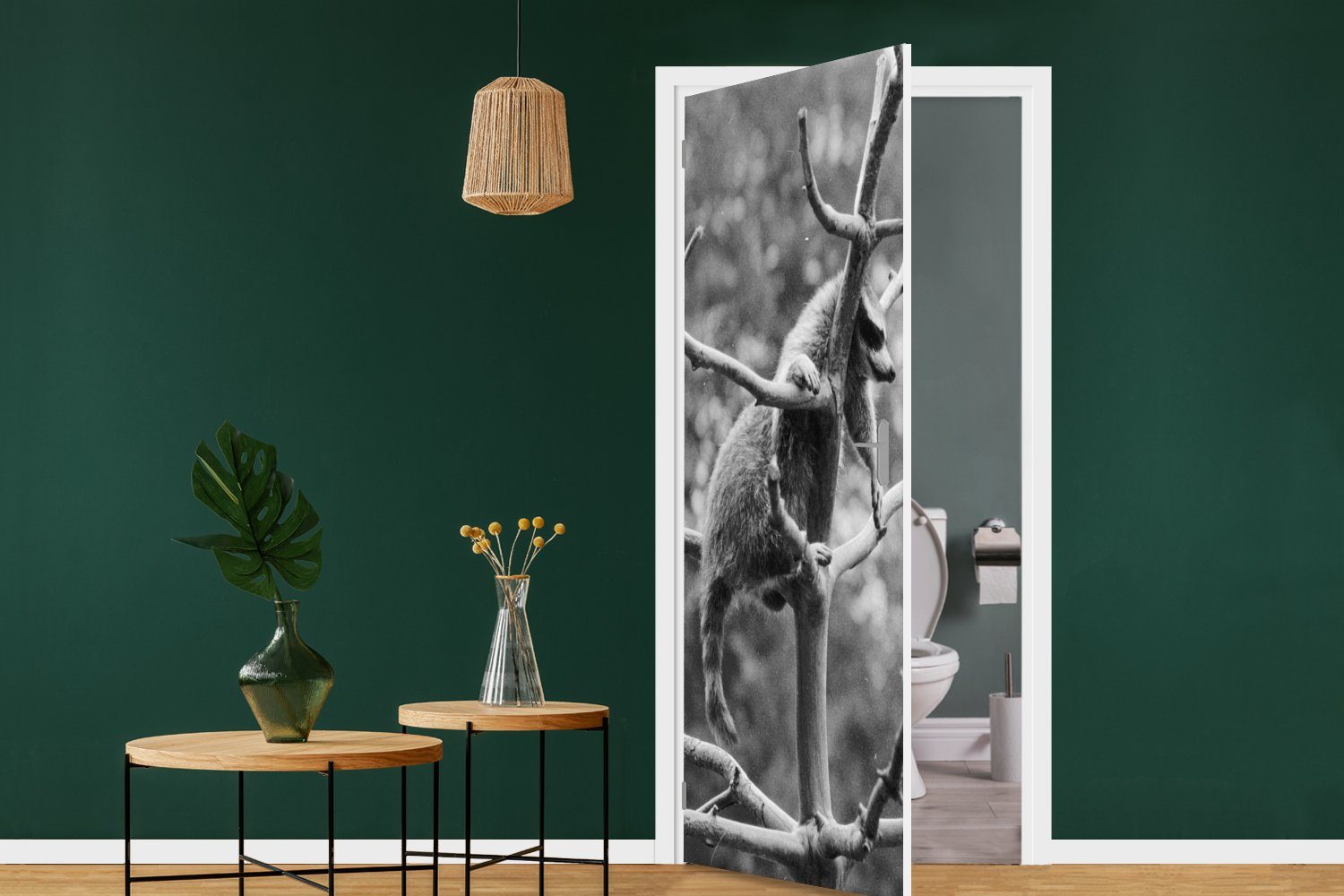 St), Türtapete Tür, Türaufkleber, für Baum, 75x205 Waschbär cm klettert Fototapete auf Matt, bedruckt, (1 MuchoWow