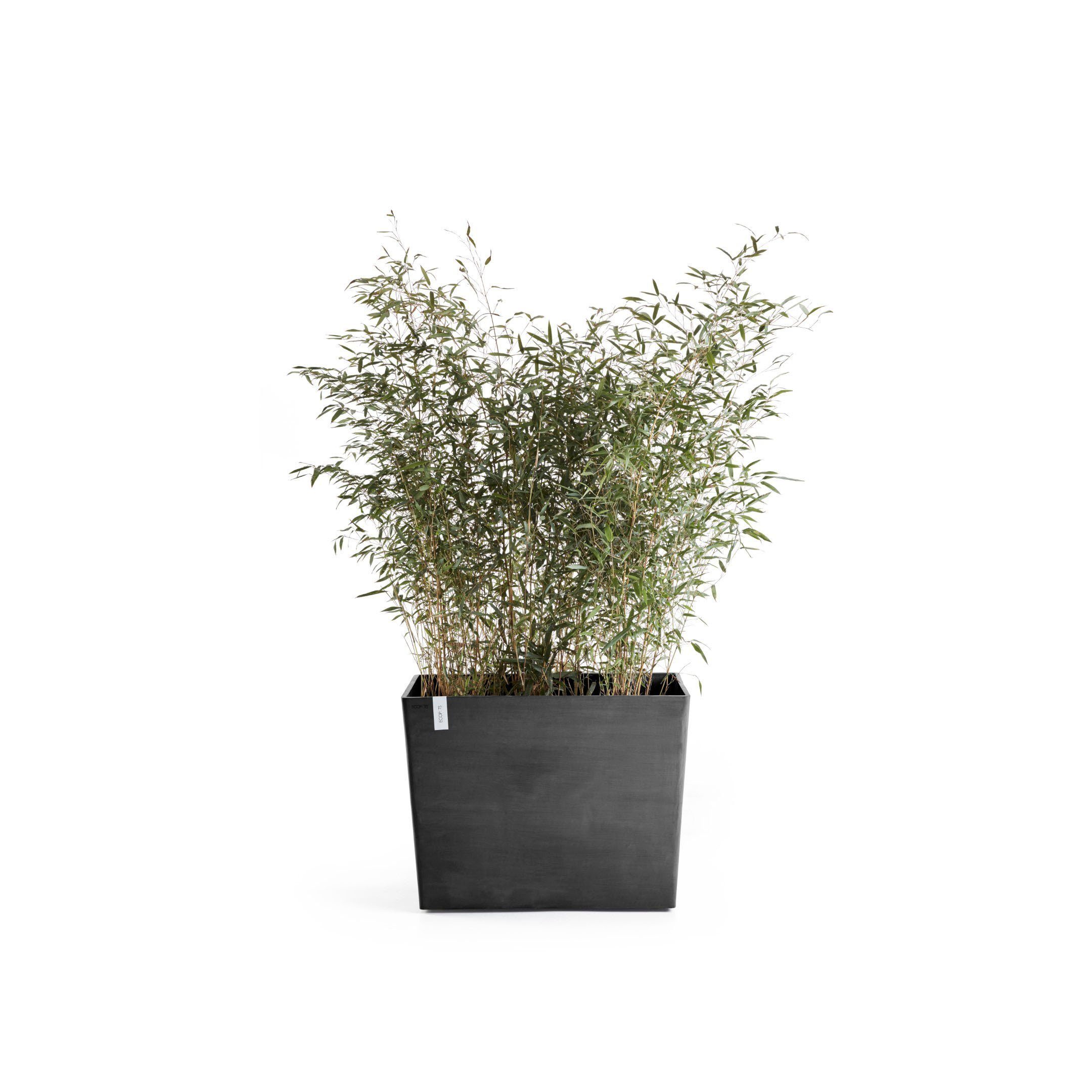 ECOPOTS Blumentopf Paris, 85x40x65 cm BxTxH