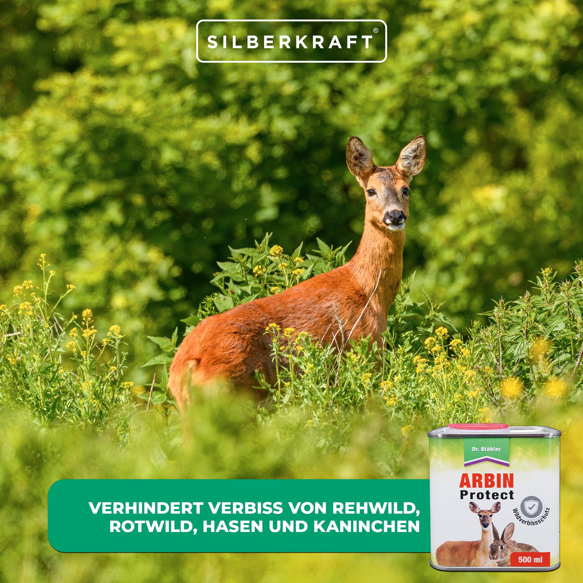 Dr. Stähler Vergrämungsmittel Arbin Protect - Schutz vor Wildverbiss für Bäume und Sträucher, 5000 ml, Schützt Zierpflanzen, Obstgärten und empfindliche Gartenbereiche, 10-St., Effektiver Schutz, Einfache Anwendung, Wetterfest und langlebig, Duftbarriere zur Wildabwehr im Garten, schützt Pflanzen, zuverlässig