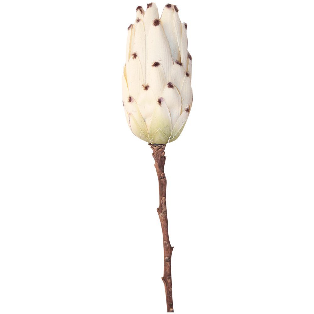 Kunstblume Zuckerbusch Protea Blüte Kunstblume Ø günstig online kaufen