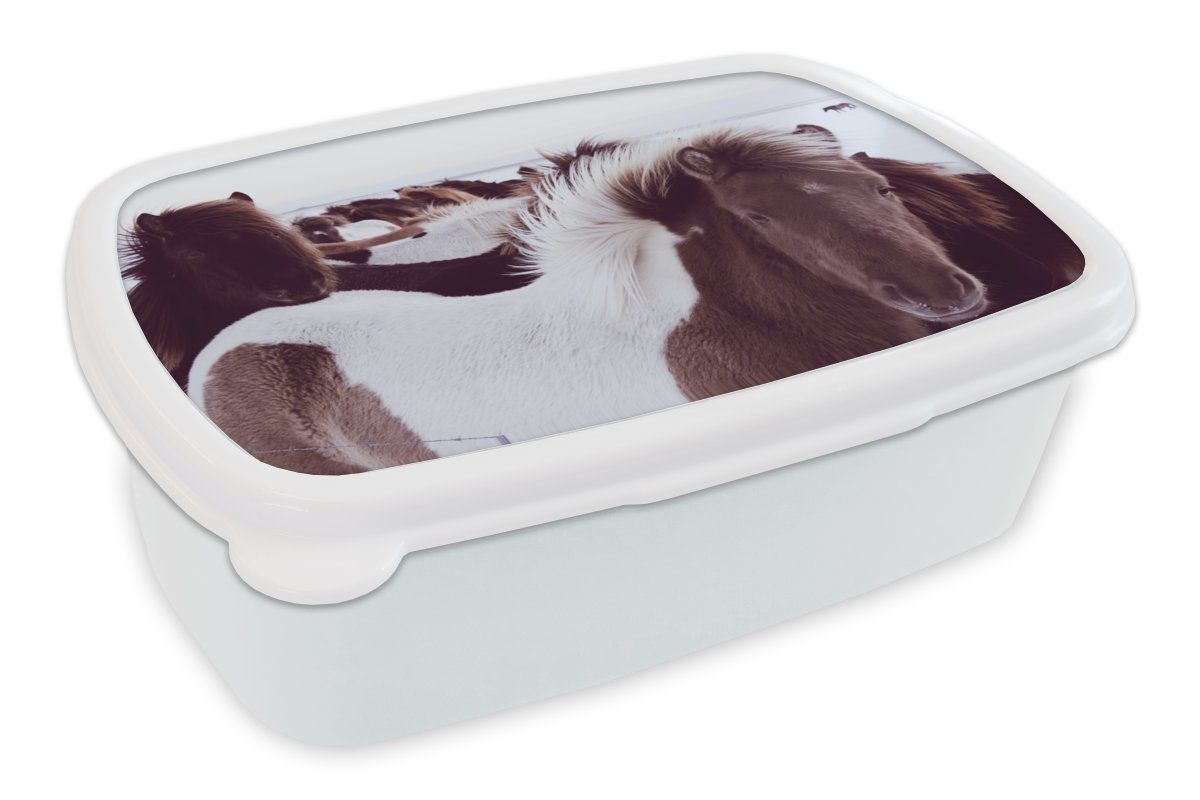 MuchoWow Lunchbox Pferde - Schnee - Island, Kunststoff, (2-tlg), Brotbox für Kinder und Erwachsene, Brotdose, für Jungs und Mädchen weiß