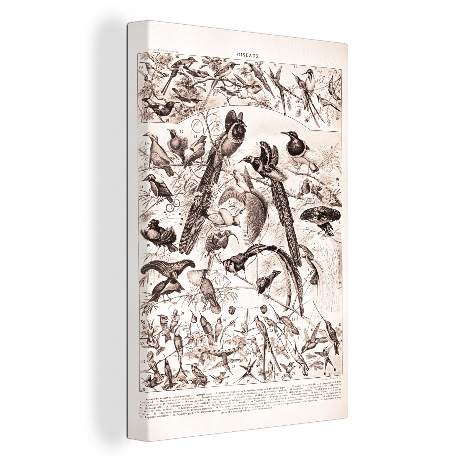 OneMillionCanvasses® Leinwandbild Vogel - Tiere - Schwarz - Weiß, (1 St), Leinwandbild fertig bespannt inkl. Zackenaufhänger, Gemälde, 20x30 cm