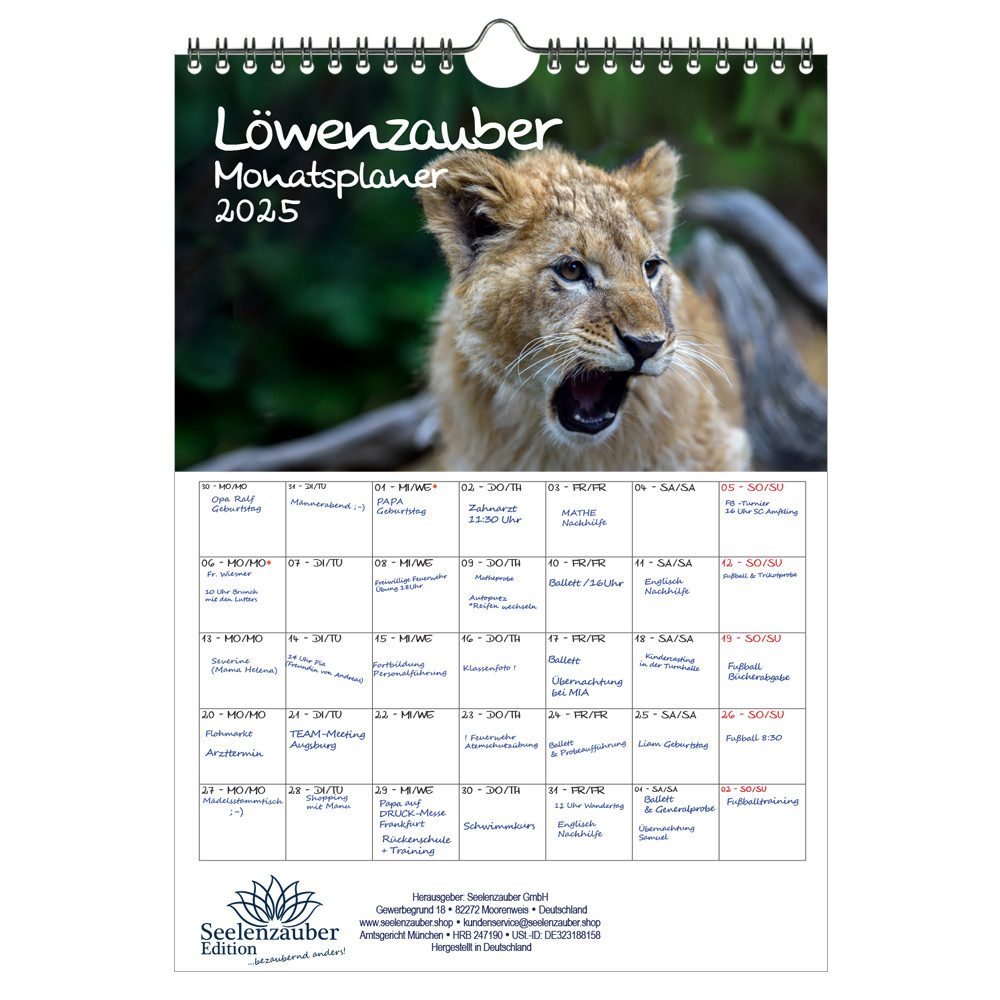 Seelenzauber Wandkalender Löwenzauber Wand- Planer Kalender für 2025 DIN A4 Löwen Löwenbaby