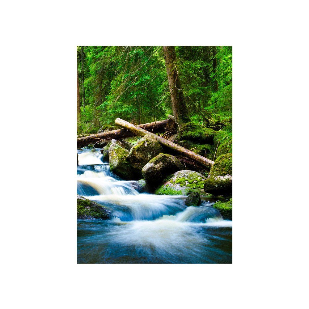 Natur liwwing Wasserfall 31, Wald Fototapete grün Baum liwwing Wald no. Fototapete
