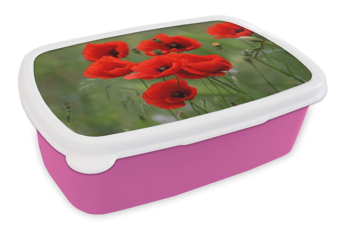 MuchoWow Lunchbox Mohn Mädchen, Blumen - Rot, für Snackbox, Kunststoff Brotdose Erwachsene, - Kunststoff, Kinder, (2-tlg), Brotbox rosa