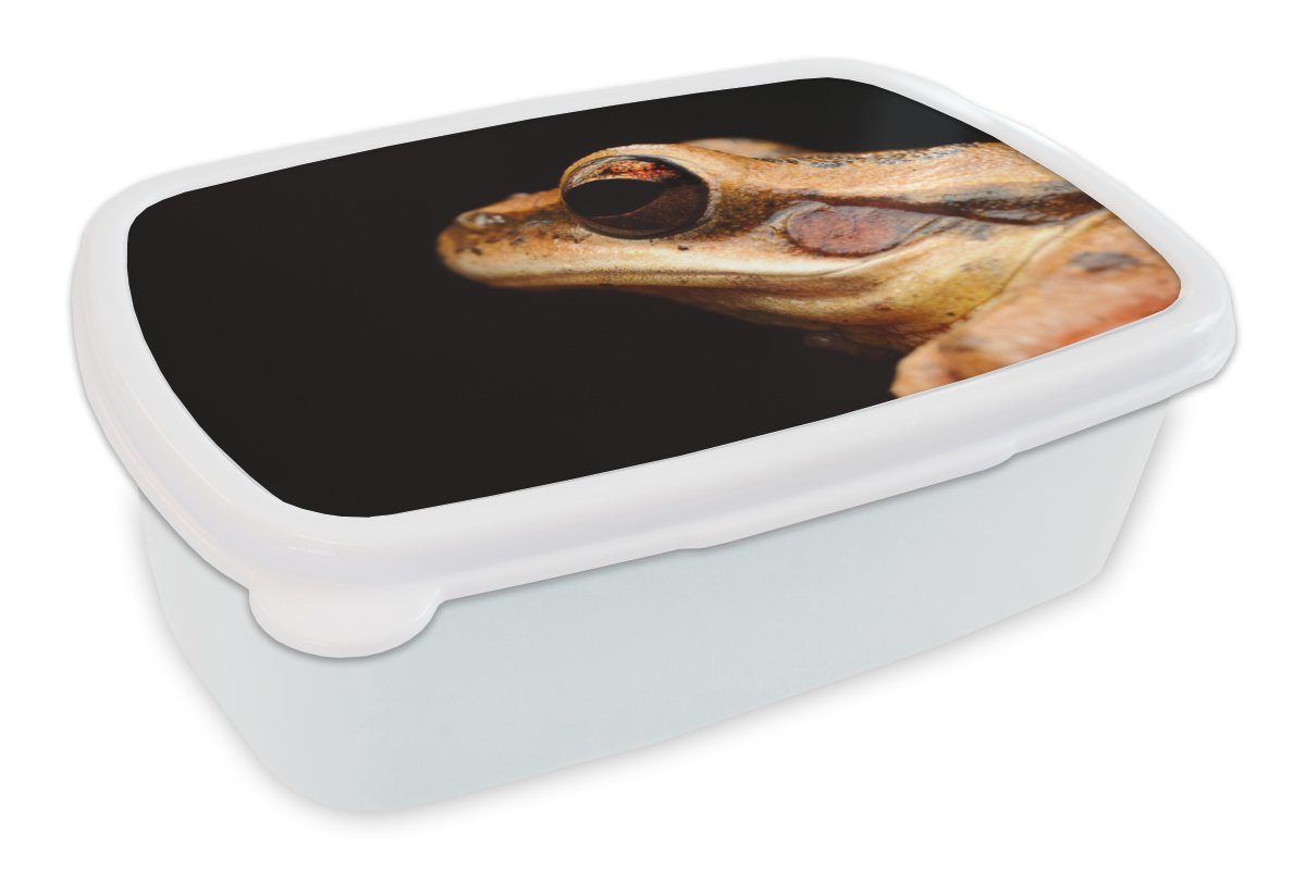 MuchoWow Lunchbox Frosch - Auge - Schwarz, Kunststoff, (2-tlg), Brotbox für Kinder und Erwachsene, Brotdose, für Jungs und Mädchen weiß